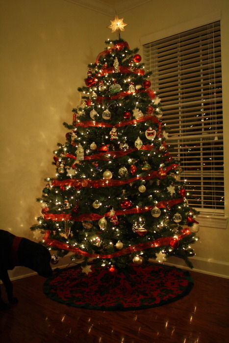 Christmas Trees With Ribbon Pictures Wallpapers